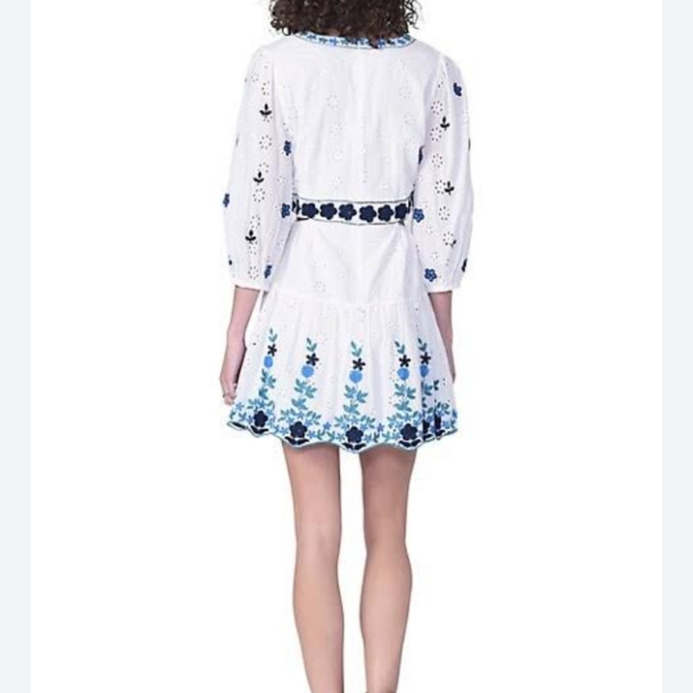 GREYLIN Embroidered Dress - Picture 5 of 11